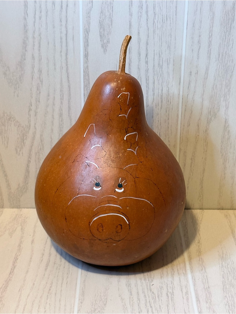 Fall Harvest Real Dried Rustic Gourd Rare Piggy Bank Coins Handmade